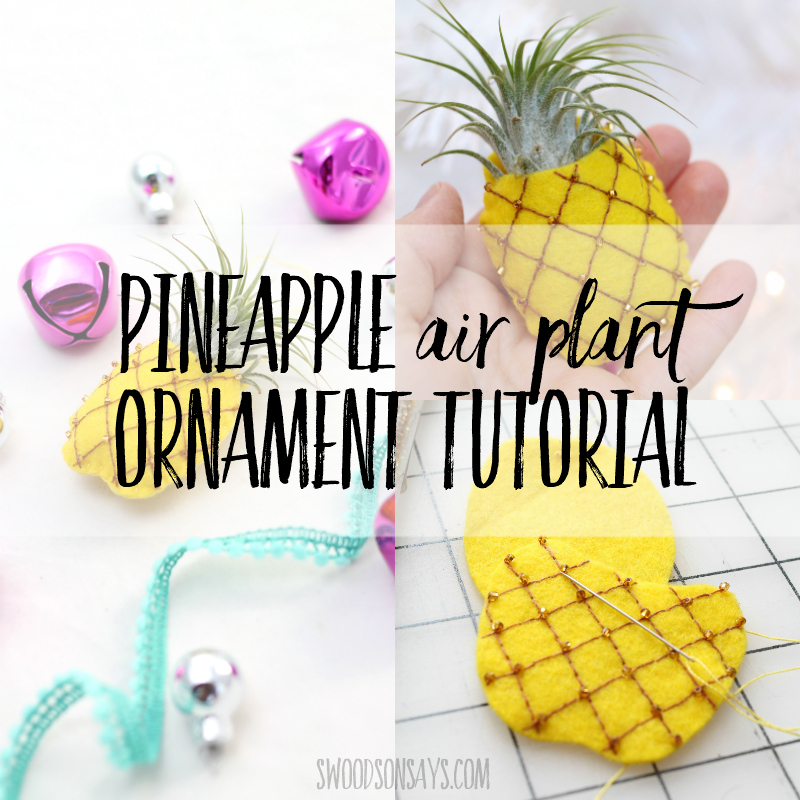 how to make a pineapple air plant ornament