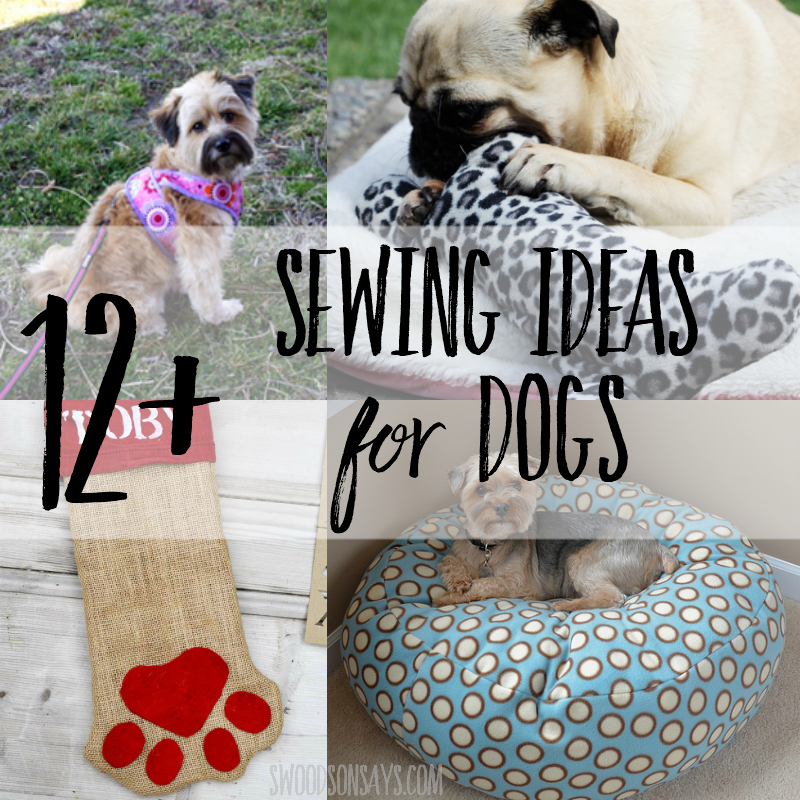 sewing ideas for dogs