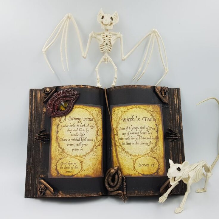 Image for Upcycled book
