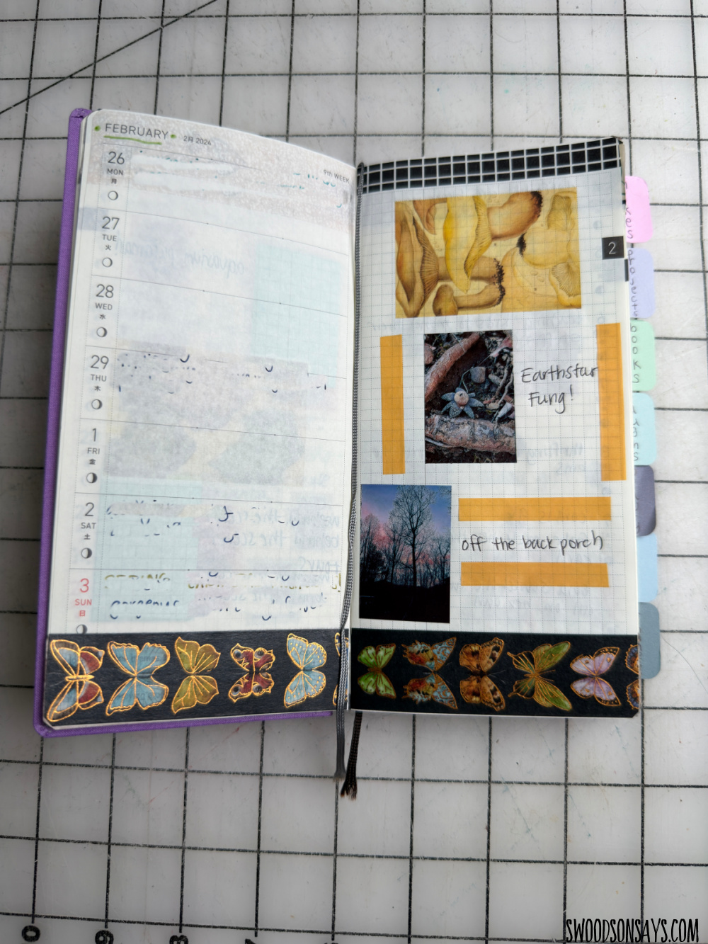 2024 journal