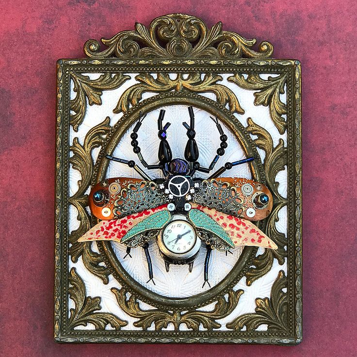 amy kopperude watch beetle