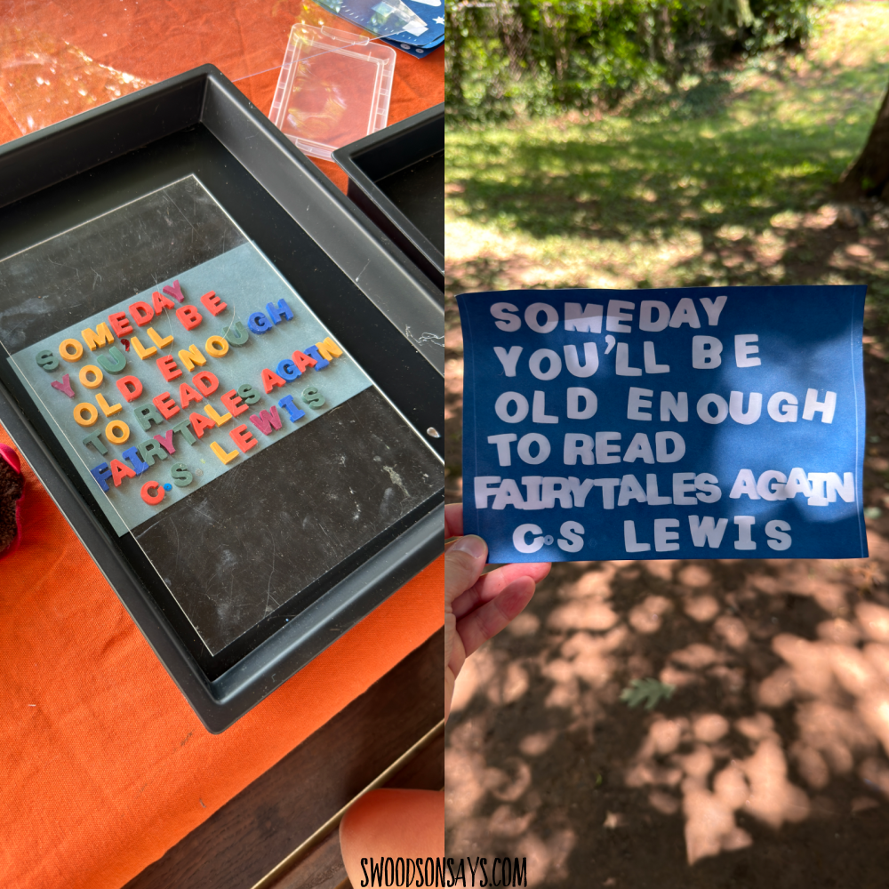 cyanotype with plastic junk